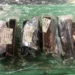 シチズンマシナリー バイトホルダ GTF5116 / CITIZEN MACHINERY Turning Tool GTF5116 TJ211031